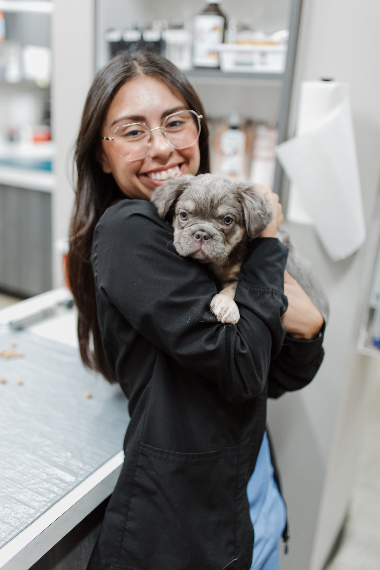 Encino Park Veterinary Clinic team and patient photography
