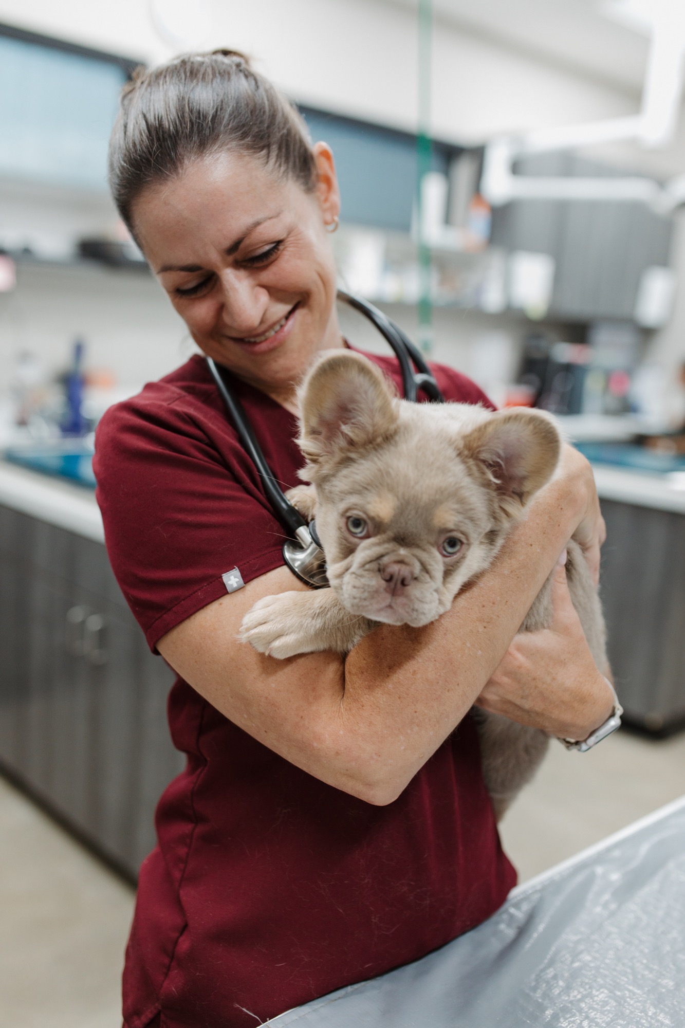 Encino Park Veterinary Clinic team and patient photography
